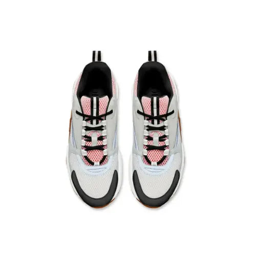Dior B22 Rose