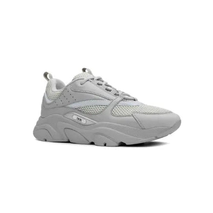 Dior B22 Gris