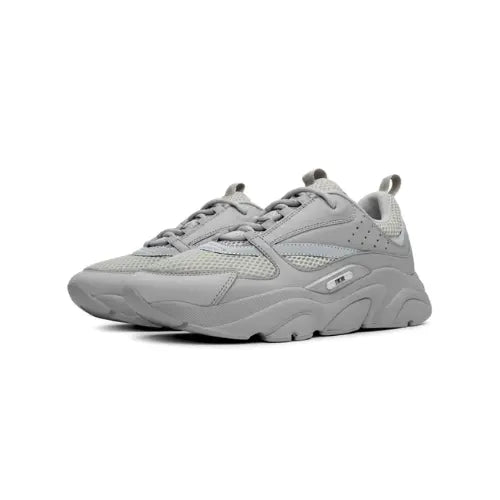 Dior B22 Gris