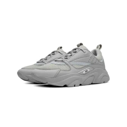 Dior B22 Gris
