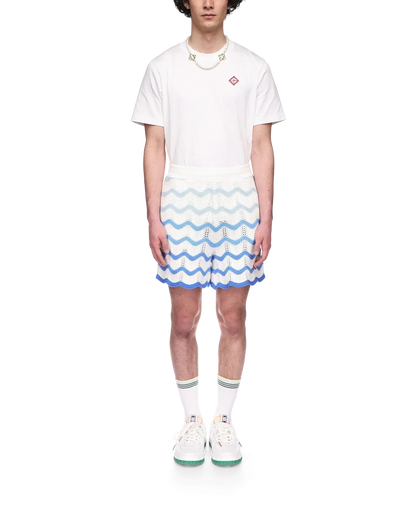Wavy Gradient Crochet Shorts - Casablanca