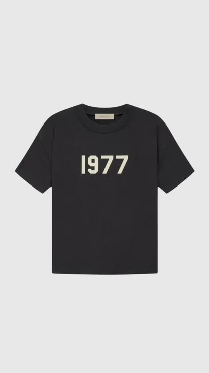 Ensemble FitsnDrip 1977